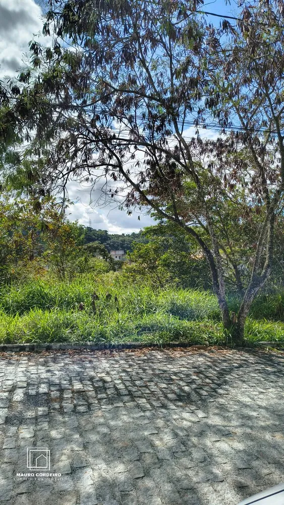 Terreno, 300 m² - Foto 2
