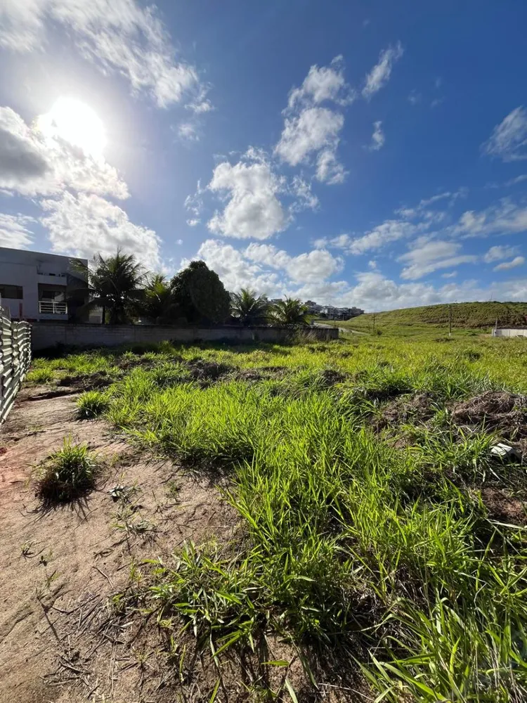 Terreno, 1200 m² - Foto 3