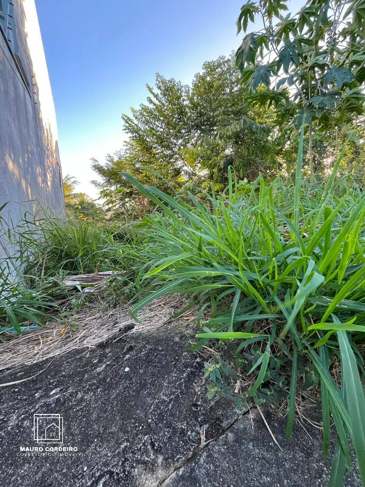 Terreno, 150 m² - Foto 6