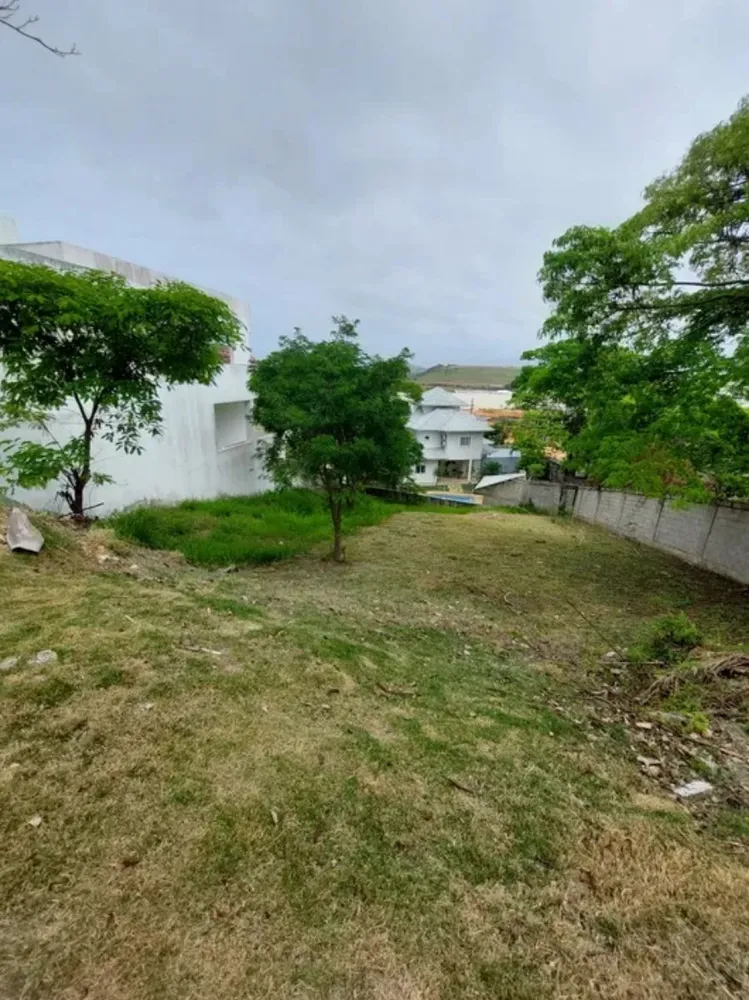 Terreno, 490 m² - Foto 7