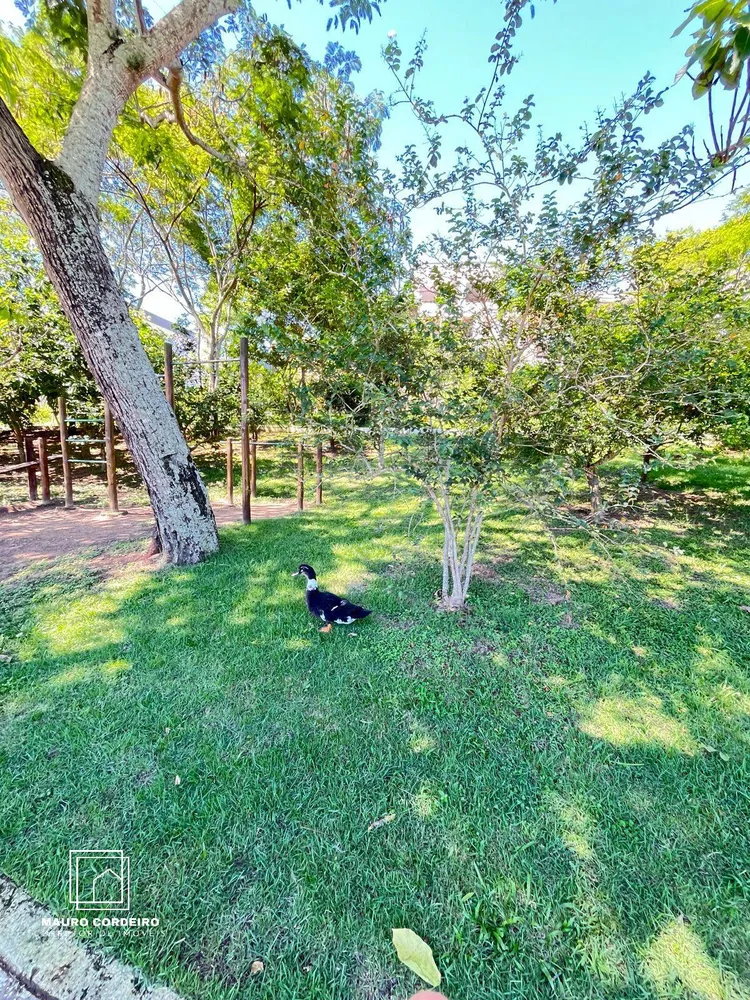 Casa, 4 quartos, 248 m² - Foto 35