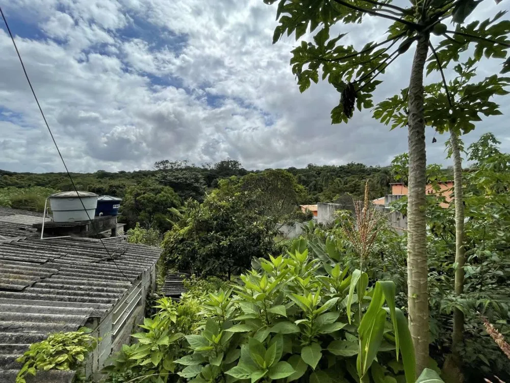 Terreno, 2280 m² - Foto 3