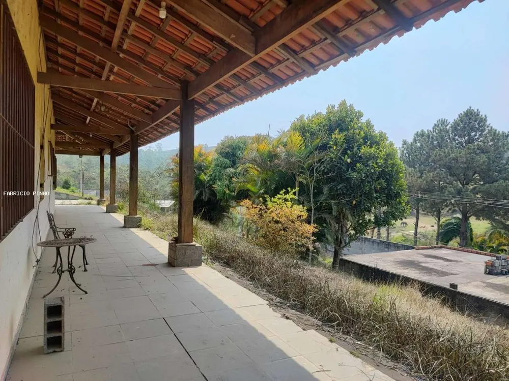 Chácara, 4 quartos, 4000 m² - Foto 3