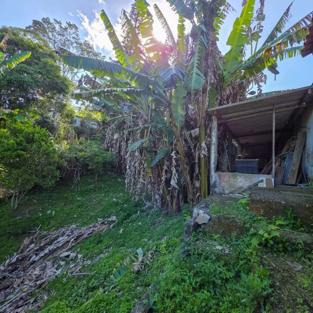 Chácara, 3 quartos, 1401 m² - Foto 2