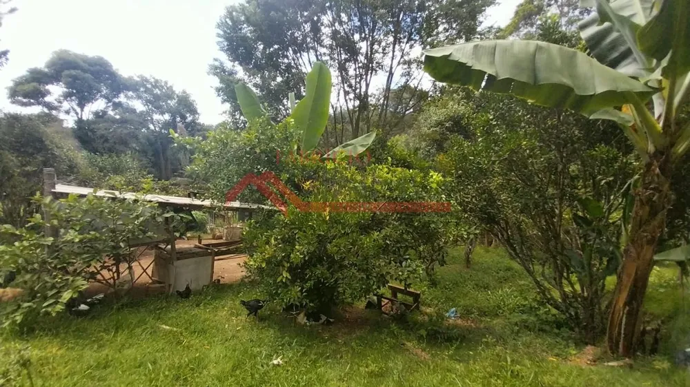 Chácara, 2 quartos, 1 hectares - Foto 3