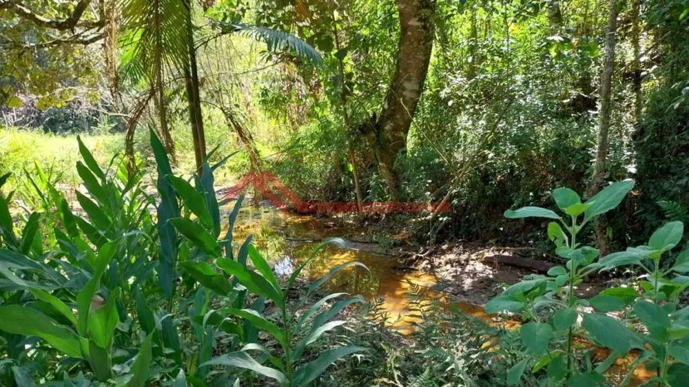 Chácara, 2 quartos, 1 hectares - Foto 8