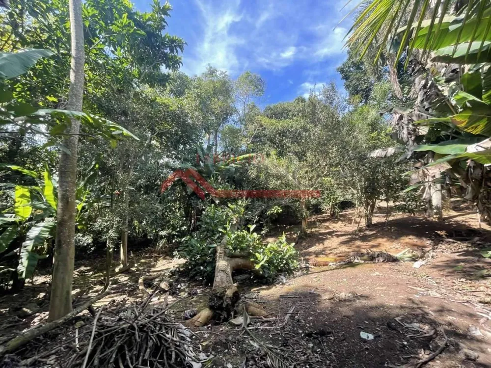 Chácara, 2 quartos, 2000 m² - Foto 2