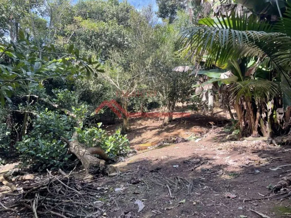 Chácara, 2 quartos, 2000 m² - Foto 5