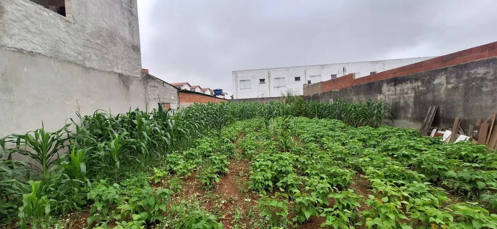Terreno, 440 m² - Foto 2
