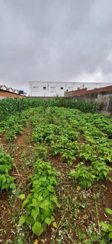 Terreno, 440 m² - Foto 10