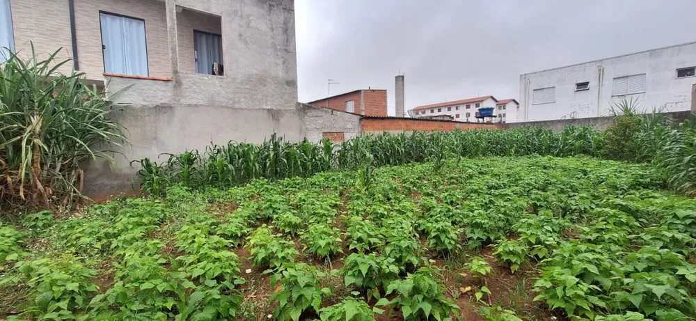 Terreno, 440 m² - Foto 8
