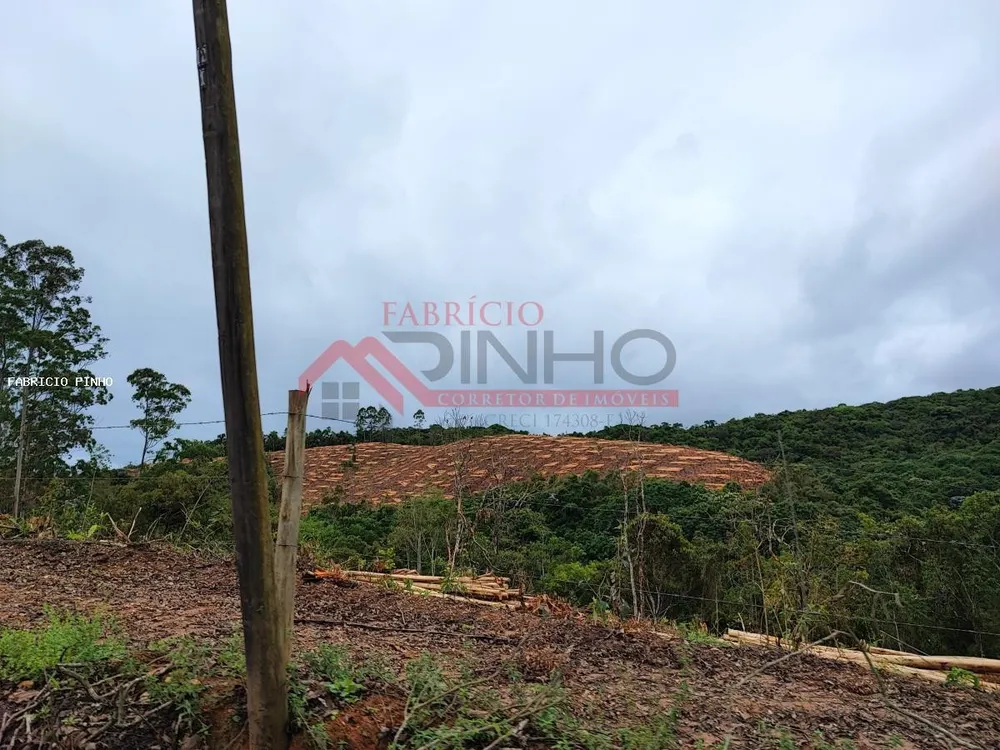 Sítio, 2 quartos, 1 hectares - Foto 7