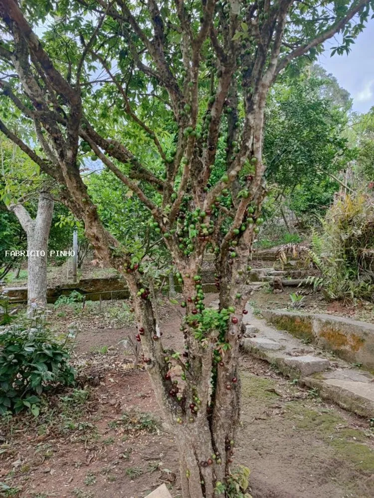 Chácara, 4 quartos, 1000 m² - Foto 2