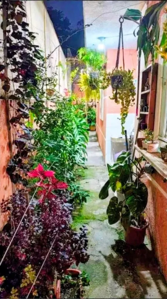 Casa, 2 quartos - Foto 2