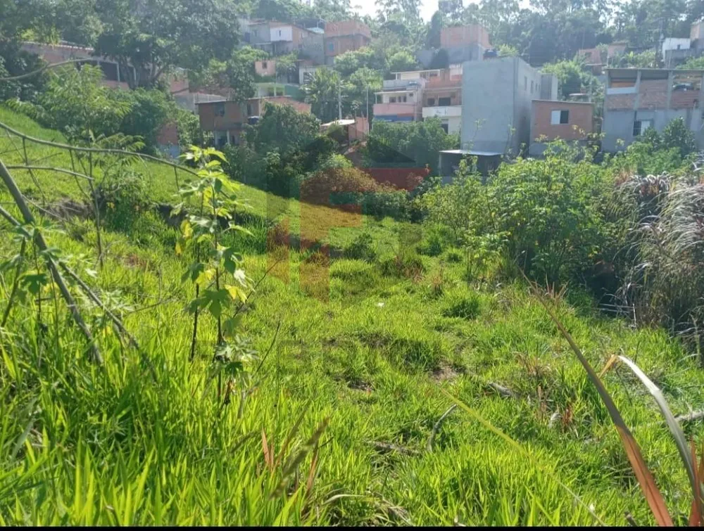 Terreno, 491 m² - Foto 4