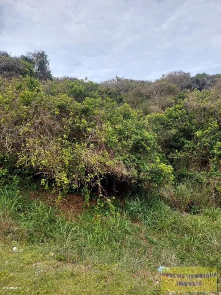 Terreno, 1800 m² - Foto 12