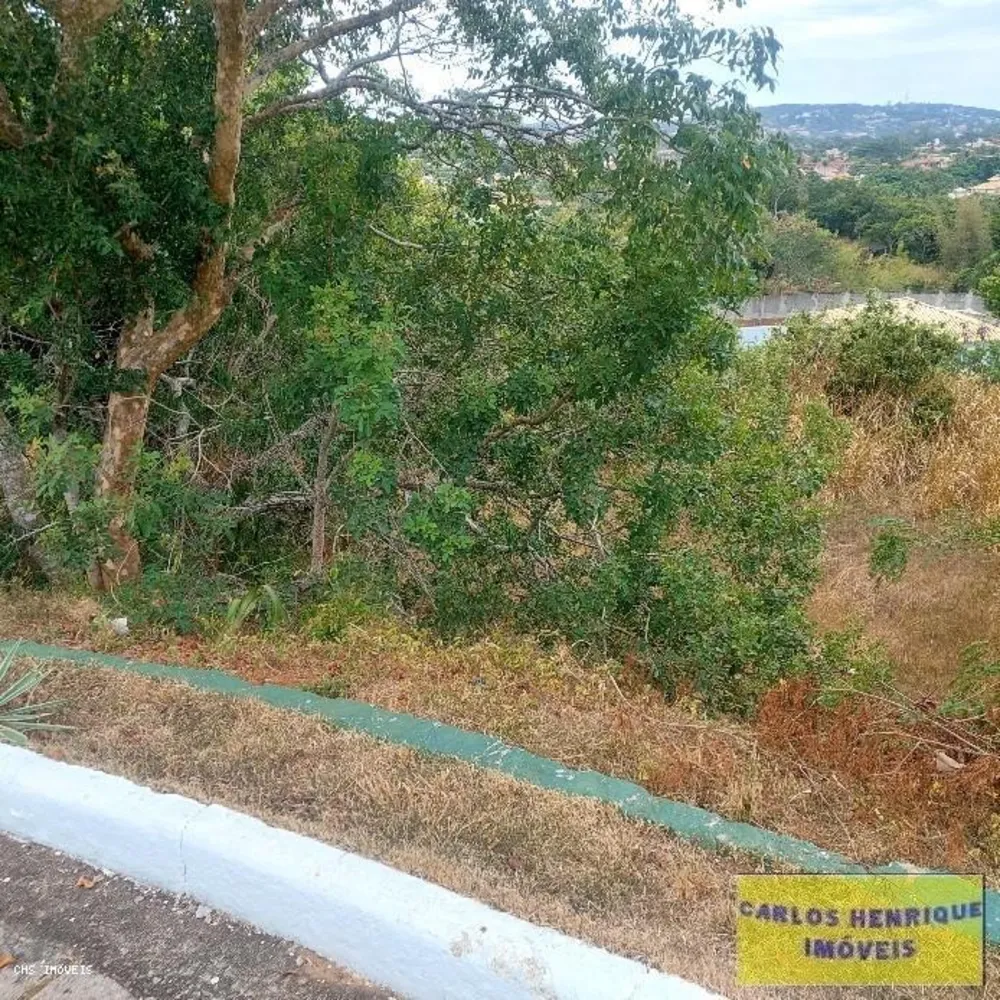 Terreno, 330 m² - Foto 7
