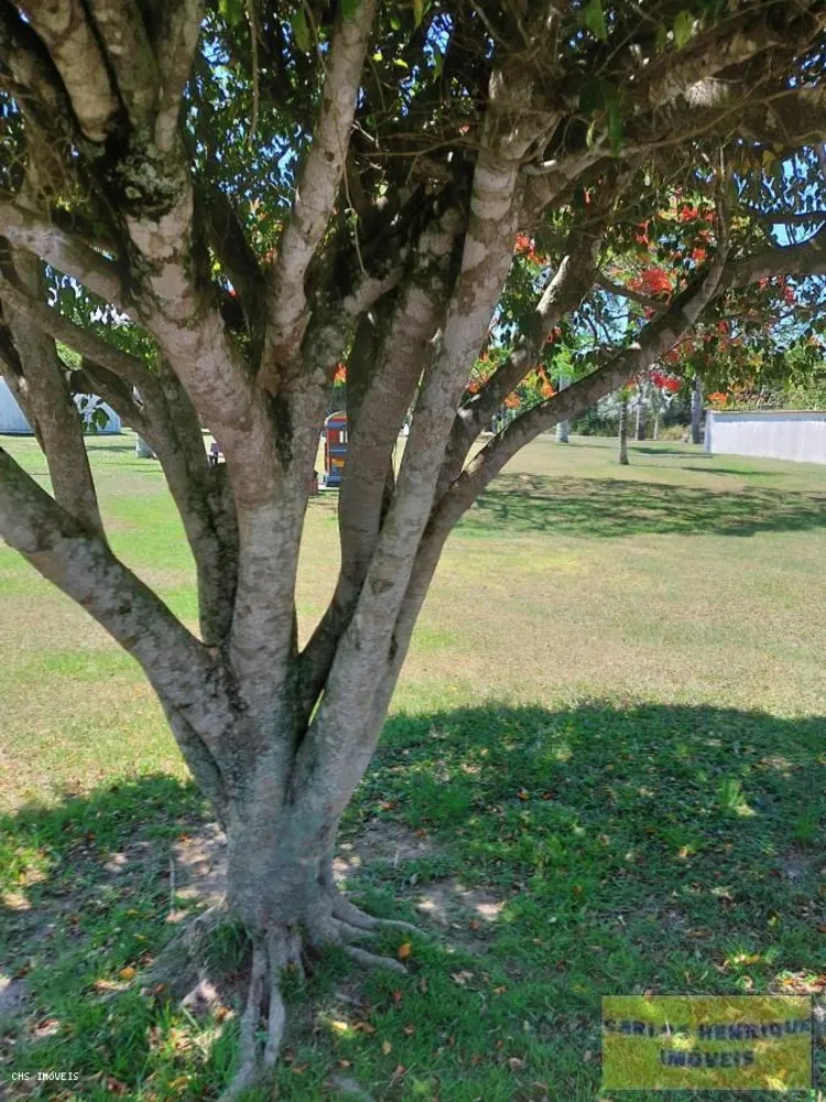 Terreno, 450 m² - Foto 6