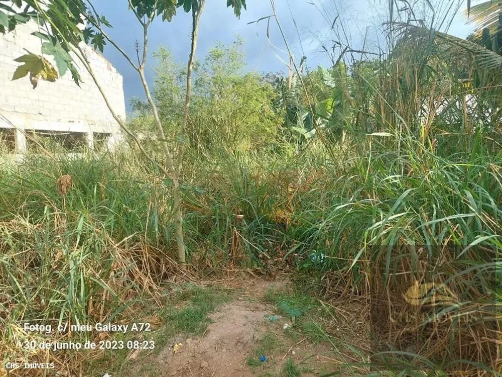 Terreno, 300 m² - Foto 7