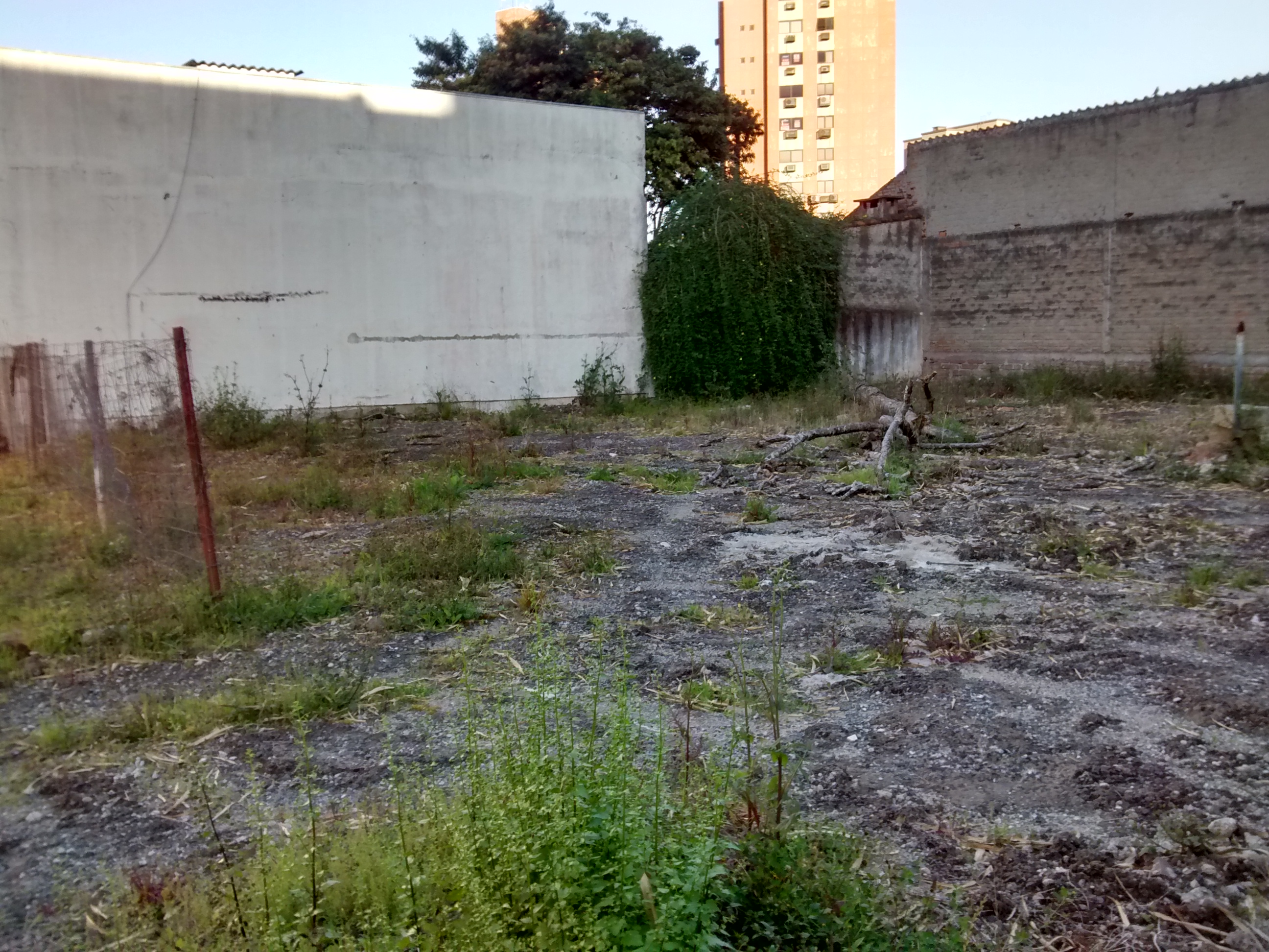 Terreno para alugar, 715m² - Foto 1