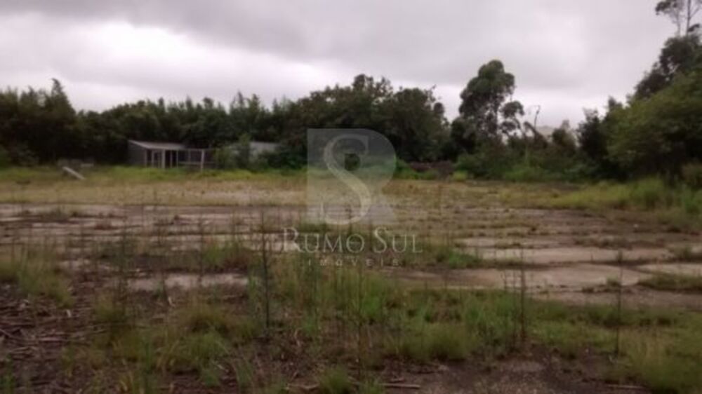 Depósito-Galpão, 5500 m² - Foto 10