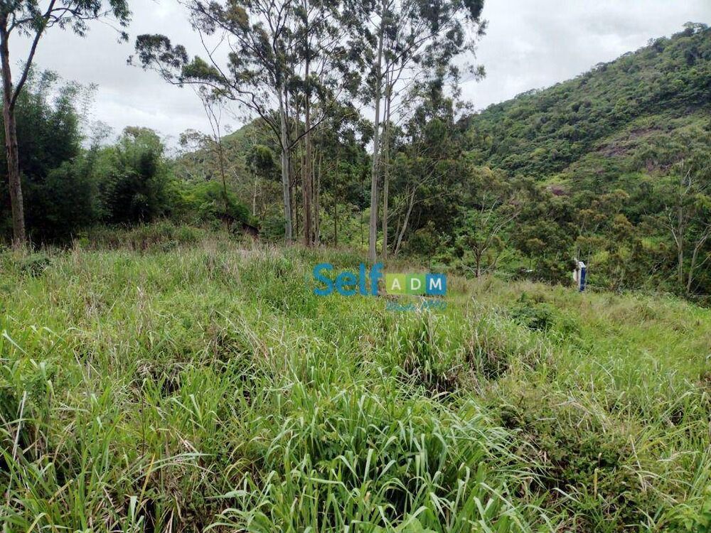 Terreno, 5381 m² - Foto 5