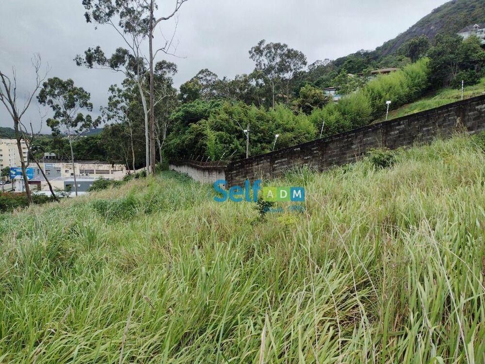 Terreno, 5381 m² - Foto 7