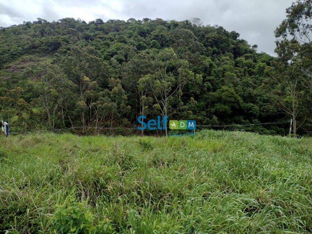 Terreno, 5381 m² - Foto 8