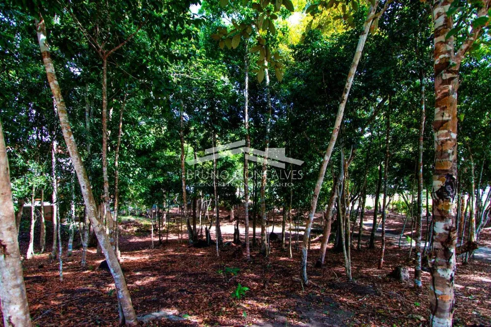 Terreno, 500 m² - Foto 11