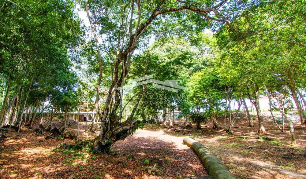 Terreno, 500 m² - Foto 8