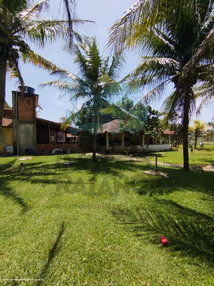 Sítio, 10 m² - Foto 3