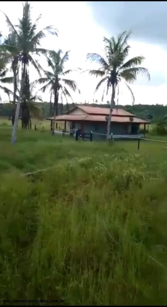 Fazenda-Sítio-Chácara, 120 m² - Foto 1