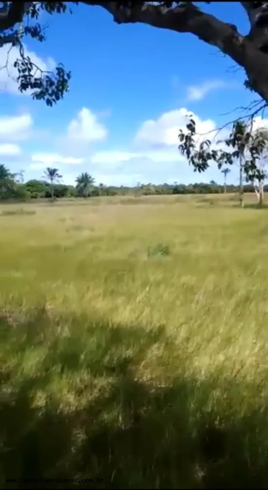 Fazenda, 120 m² - Foto 11