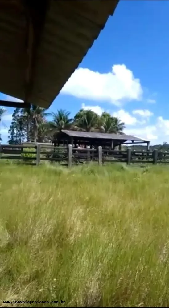 Fazenda, 120 m² - Foto 5