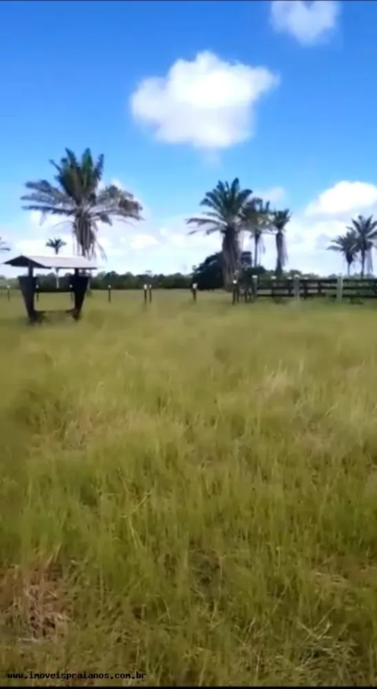 Fazenda, 120 m² - Foto 9