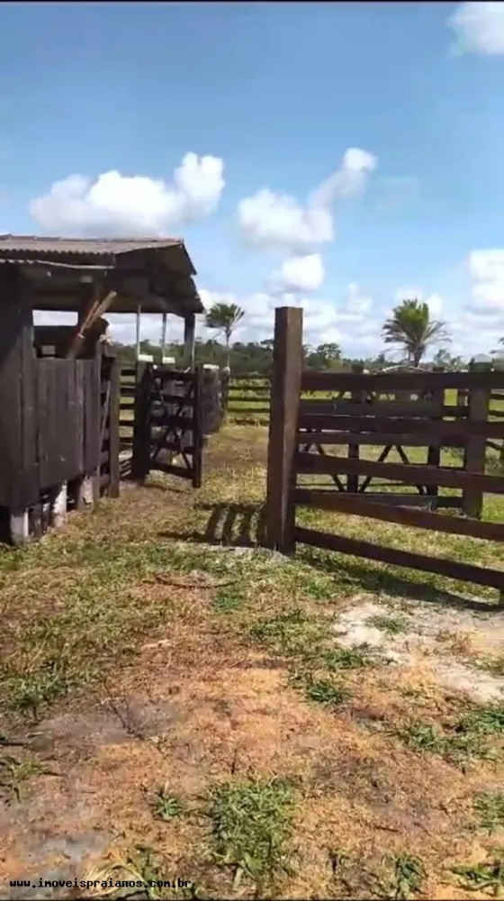 Fazenda, 120 m² - Foto 6