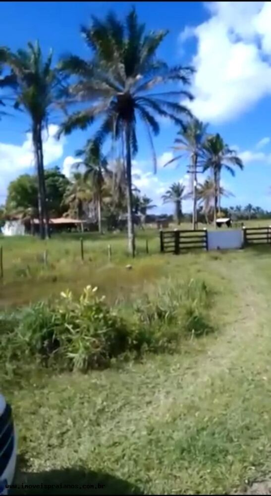 Fazenda-Sítio-Chácara, 120 m² - Foto 3