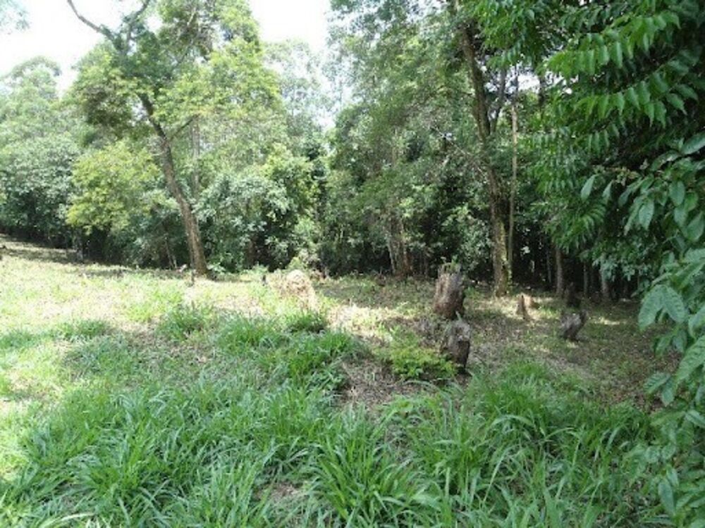 Loteamento e Condomínio - Foto 4