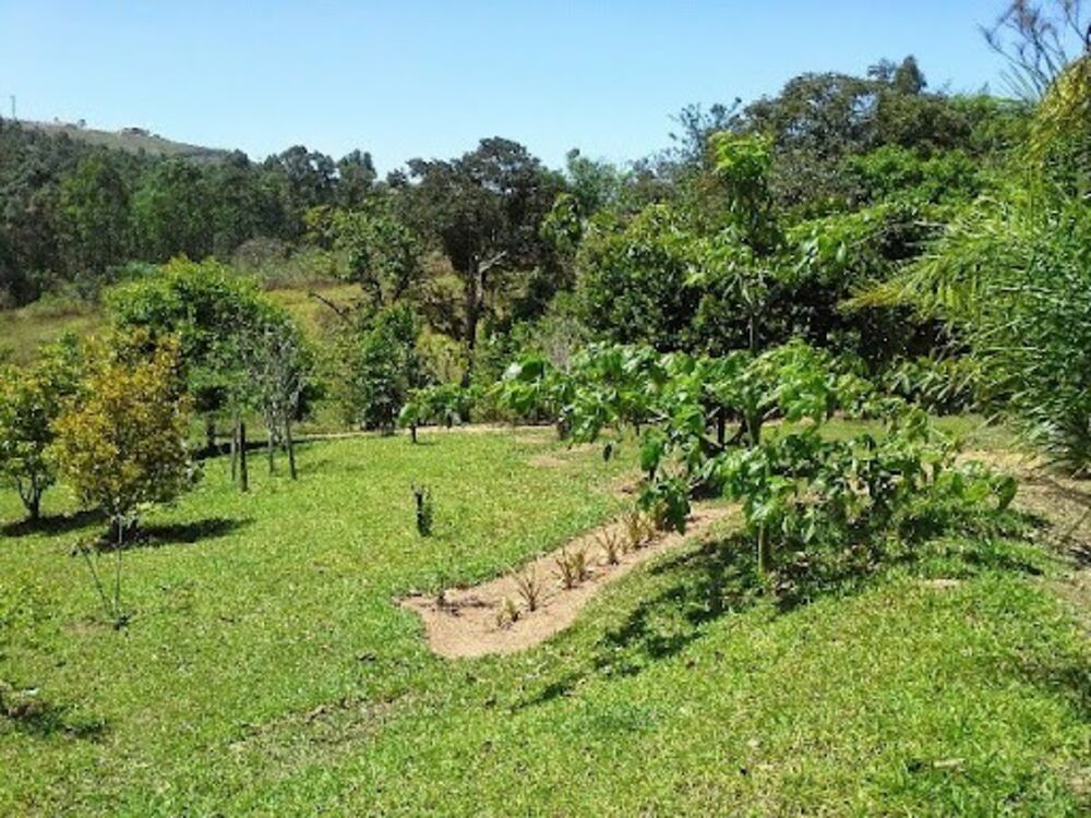 Chácara à venda com 4 quartos, 600m² - Foto 4