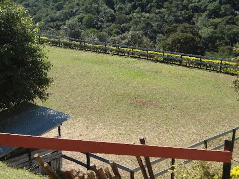 Casa à venda com 3 quartos, 797m² - Foto 3