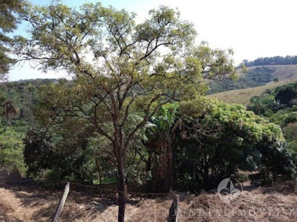 Terreno, 2352 m² - Foto 2