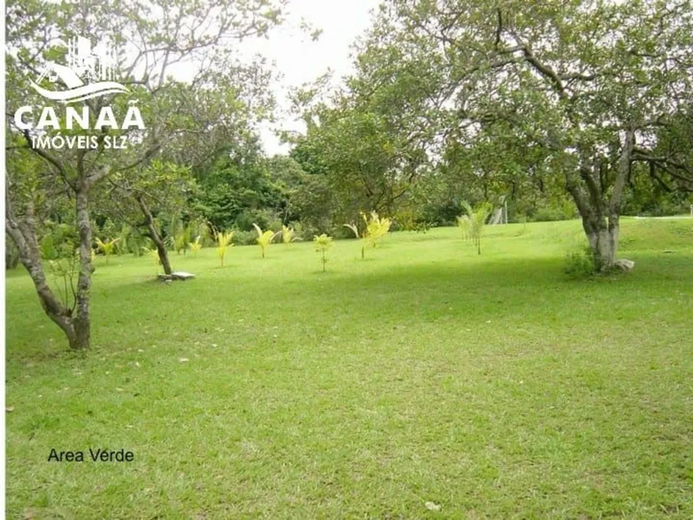 Sítio, 4 quartos, 3 hectares - Foto 3