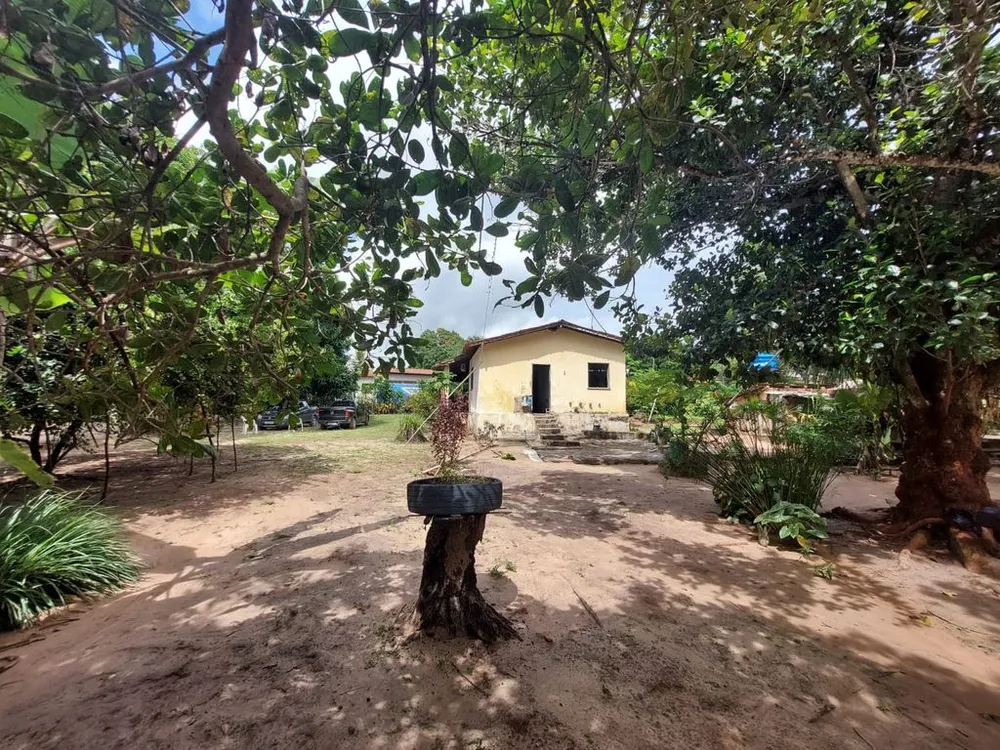 Sítio, 2 quartos, 139 hectares - Foto 11