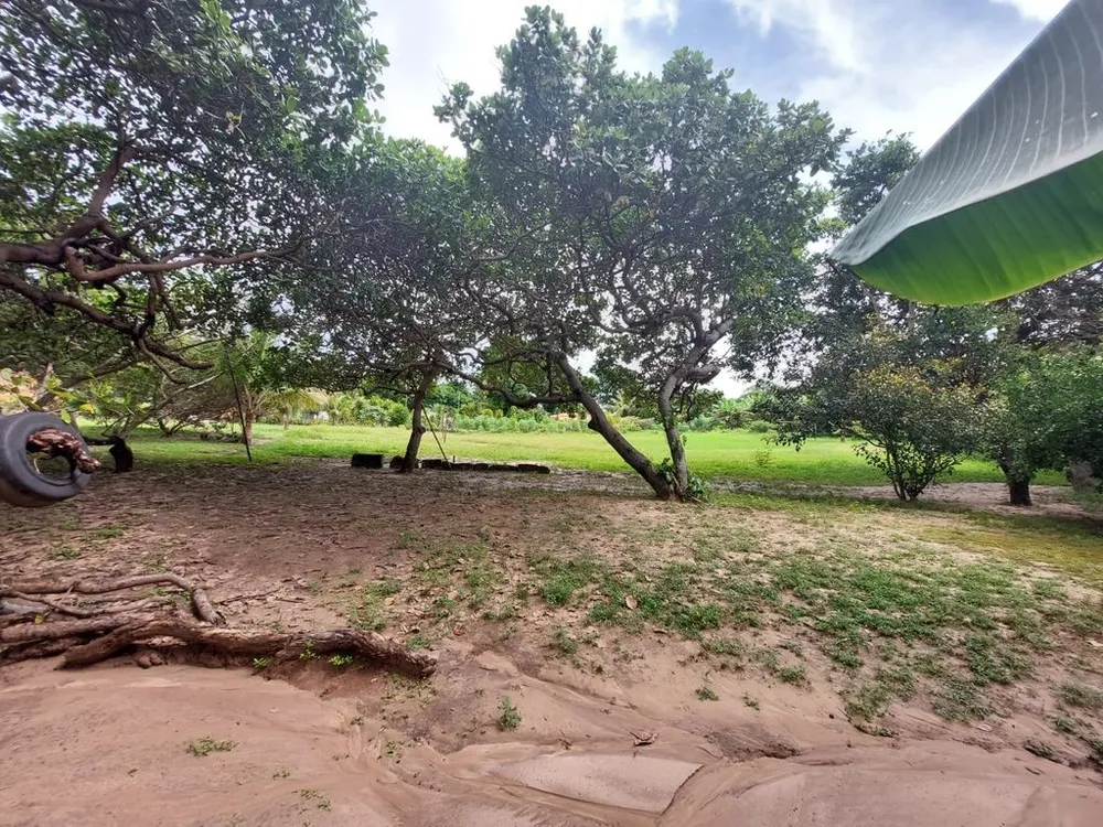 Sítio, 2 quartos, 139 hectares - Foto 10