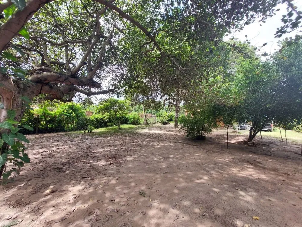 Sítio, 2 quartos, 139 hectares - Foto 12