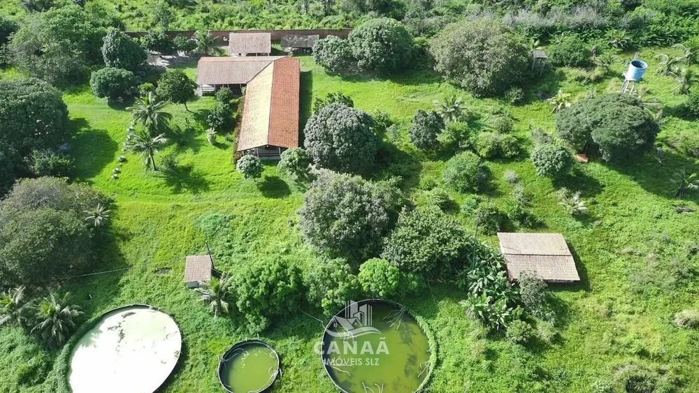 Sítio, 4 quartos, 2 hectares - Foto 4