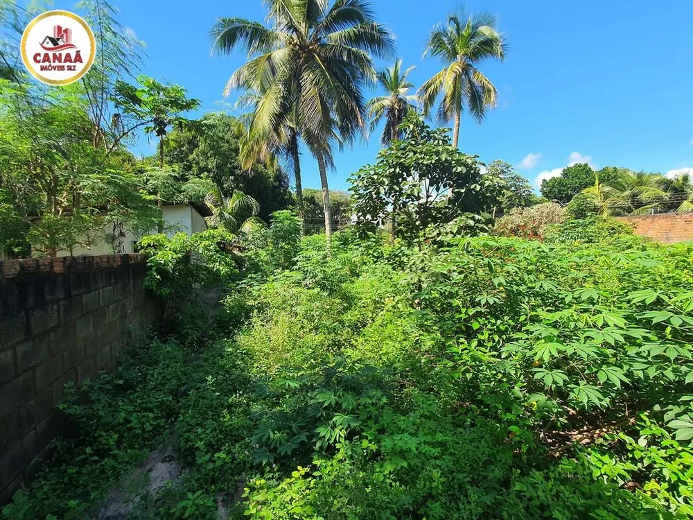 Terreno, 2 hectares - Foto 12