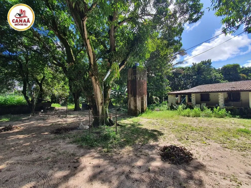 Terreno, 2 hectares - Foto 16