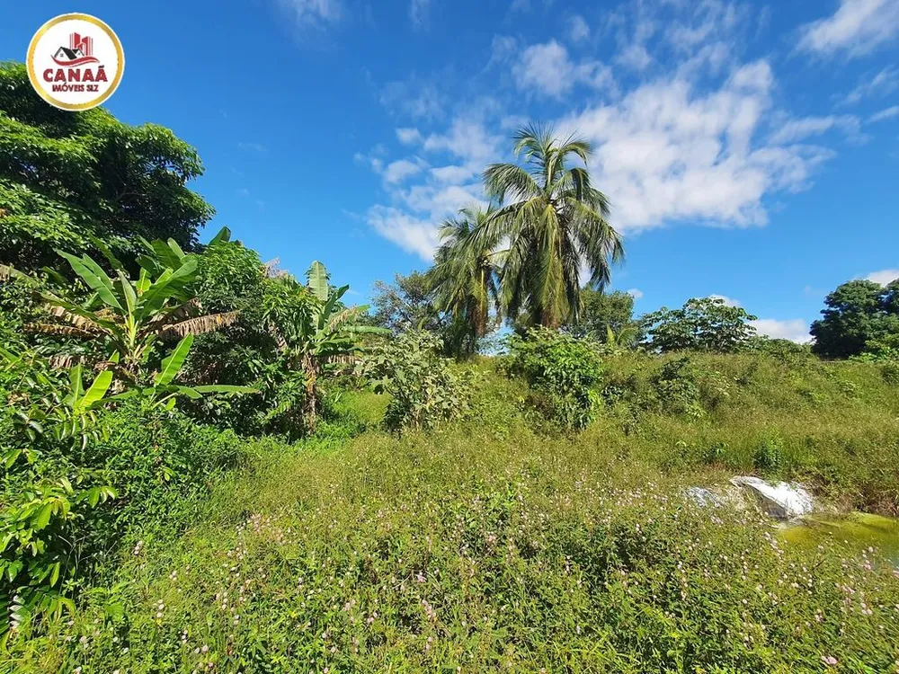 Terreno, 2 hectares - Foto 8