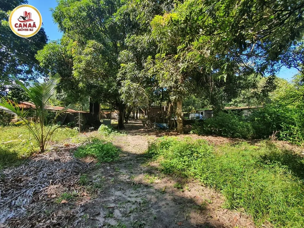Terreno, 2 hectares - Foto 6
